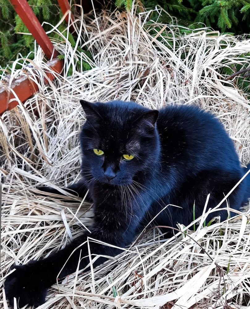 Фотография автора Ольга Виноградова