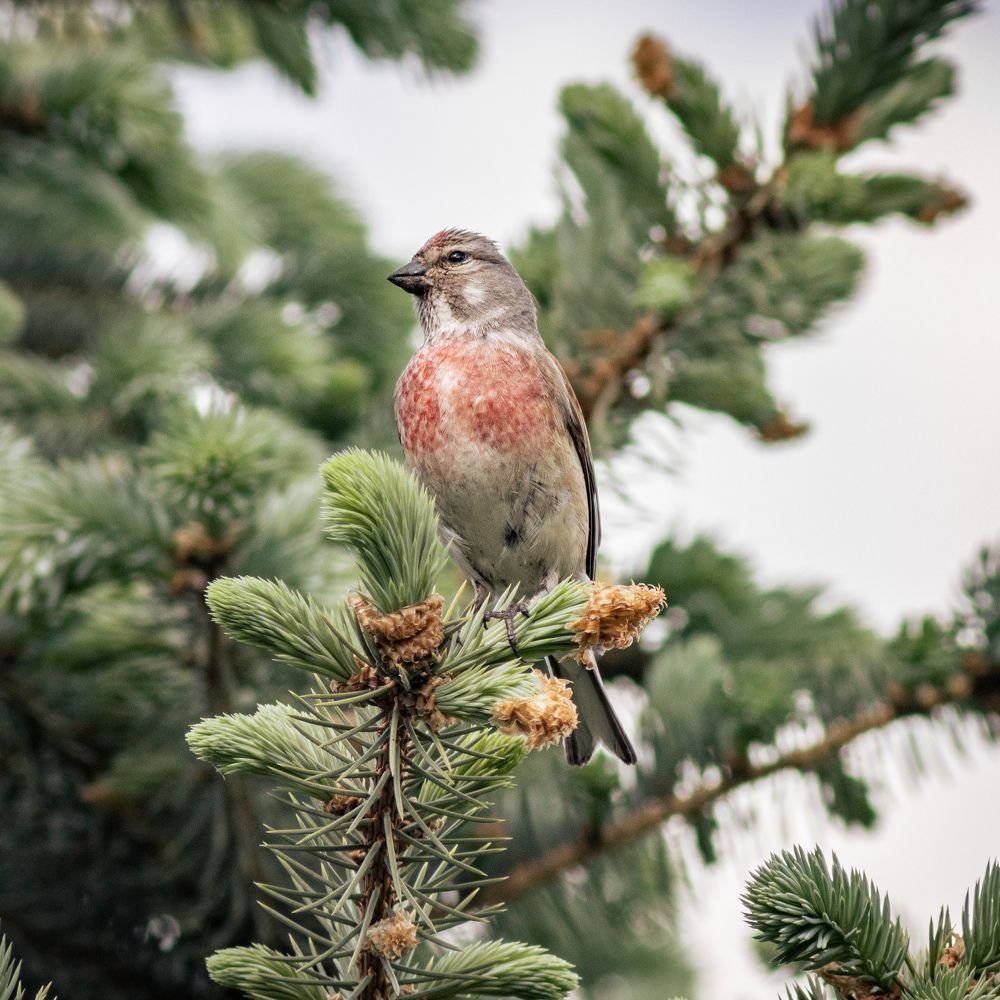 Photograph by Алексей Кремнёв