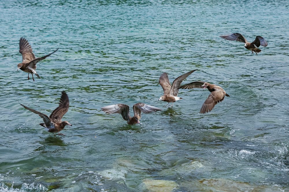 Photograph by Анна Хлоповская