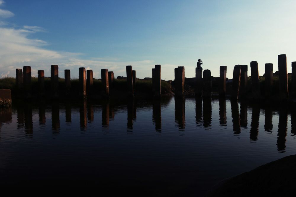 The beauty of nature.