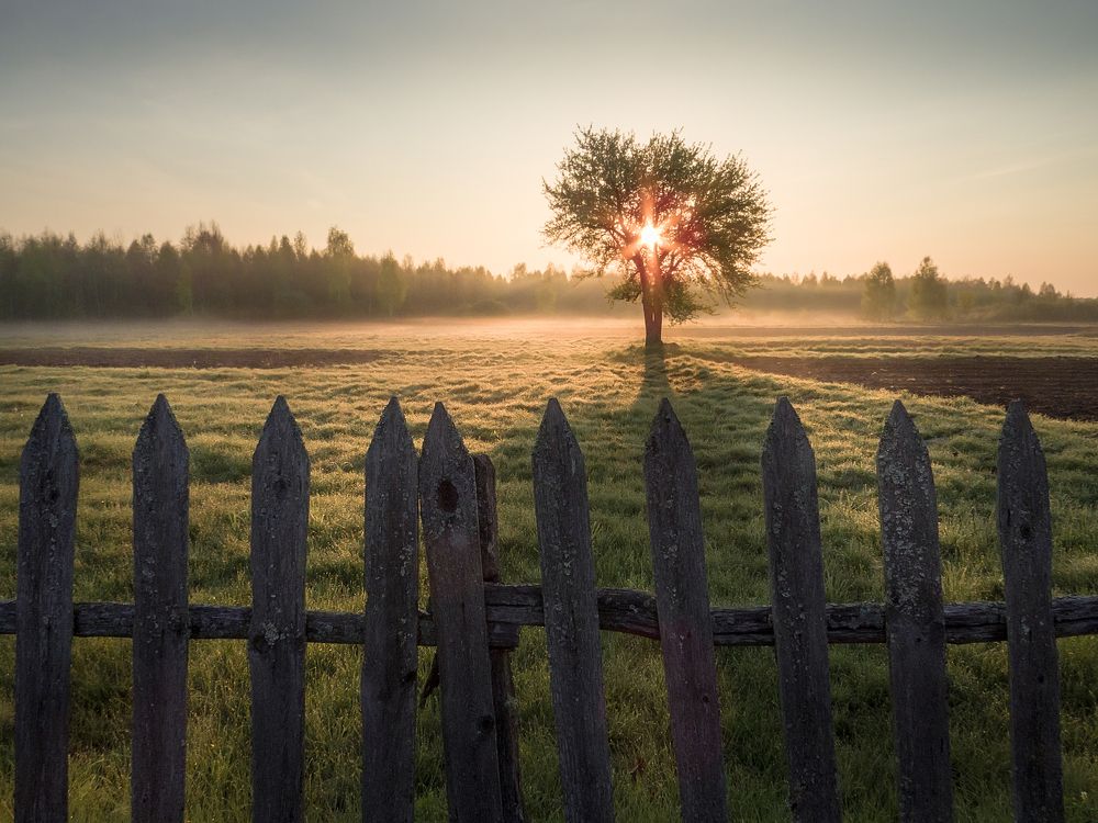 Photograph by Игорь Жданович