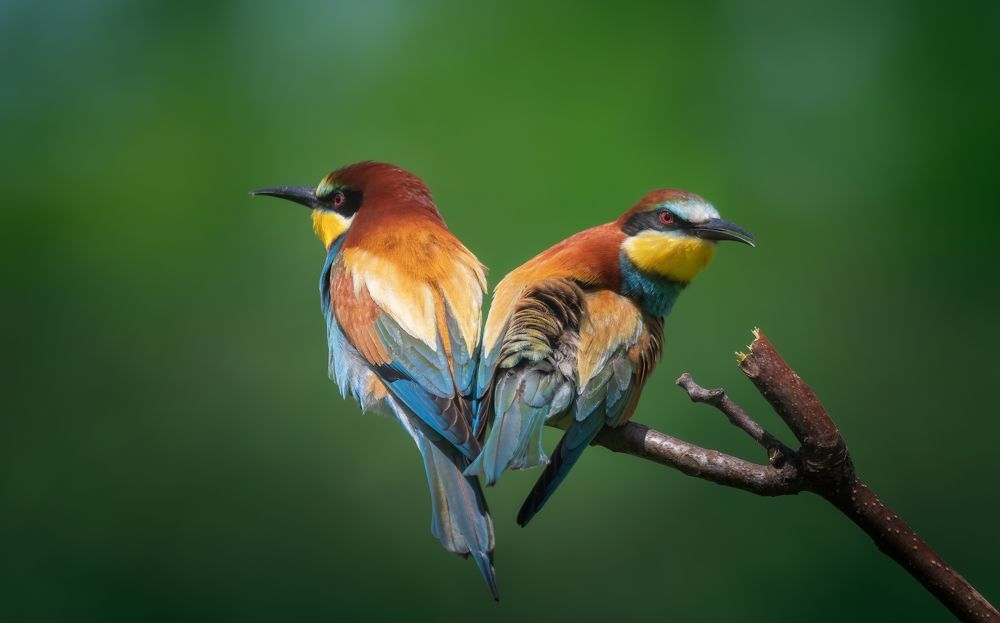 Photograph by Plekhanov Alexander