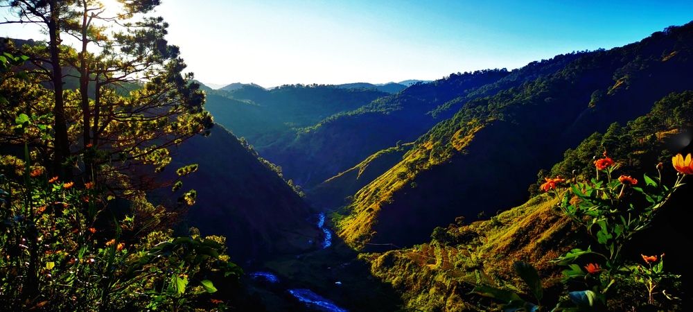 Photograph by Vanessa Carantes