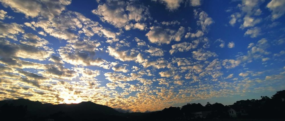 Photograph by Vanessa Carantes