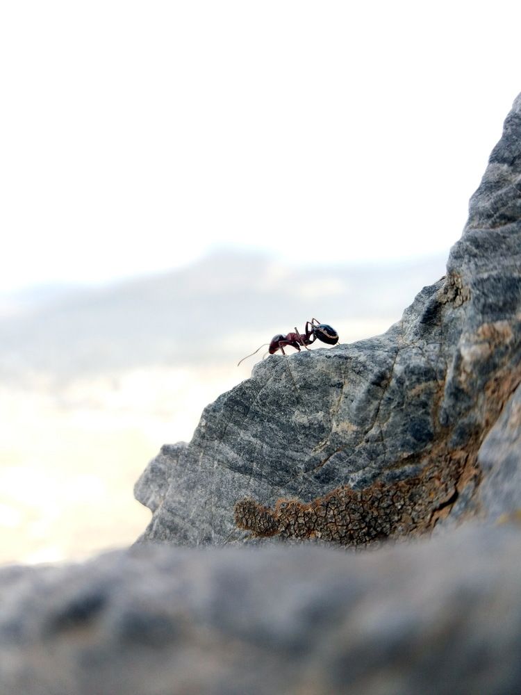 Photograph by hamid solaymani