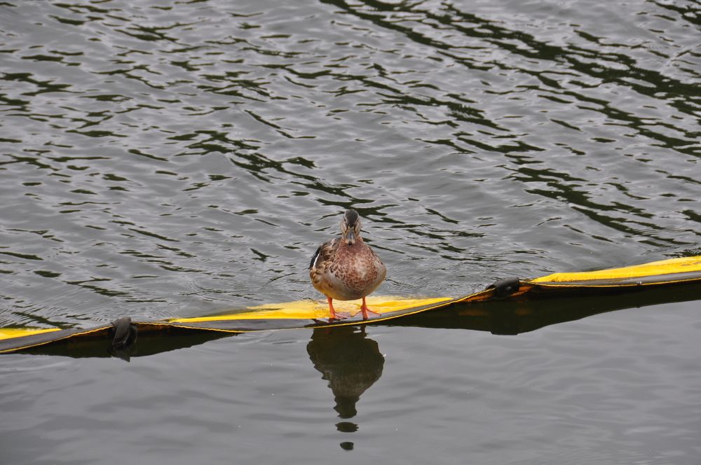 Photograph by Евгений Захаров