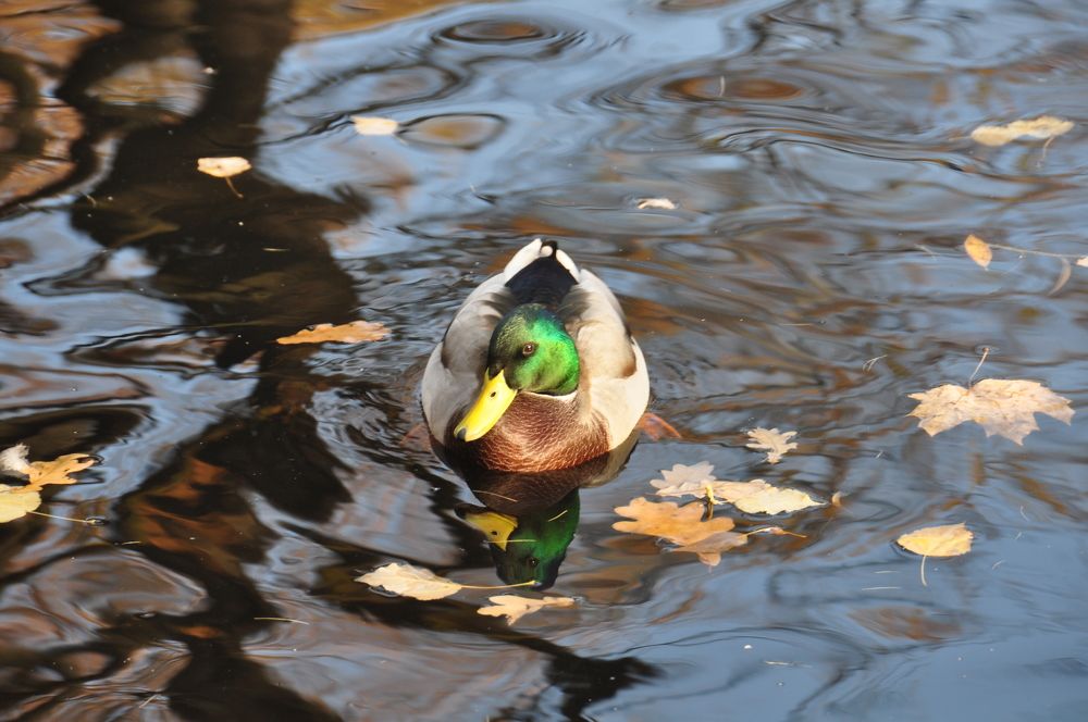 Photograph by Евгений Захаров
