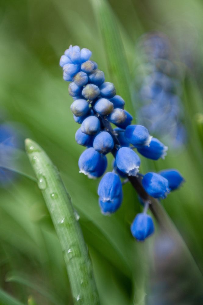 Photograph by Ксения Моськина