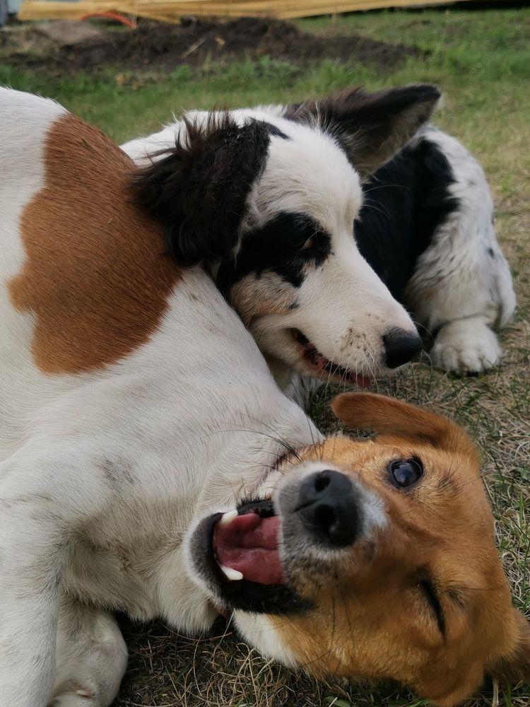 Photograph by Оксана Двойникова