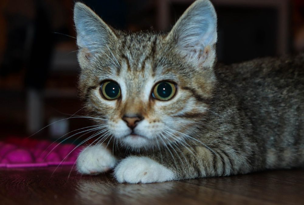 Photograph by Оксана Двойникова