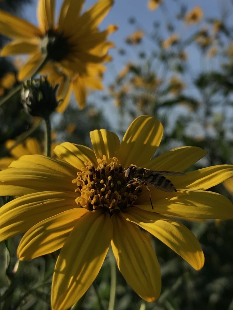 Photograph by Лидия Алесханова