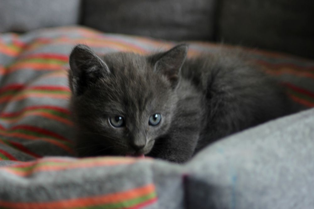 Photograph by Станислав Карнаухов