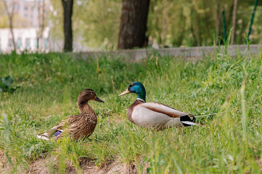 Фотография автора Лукашенко Ольга