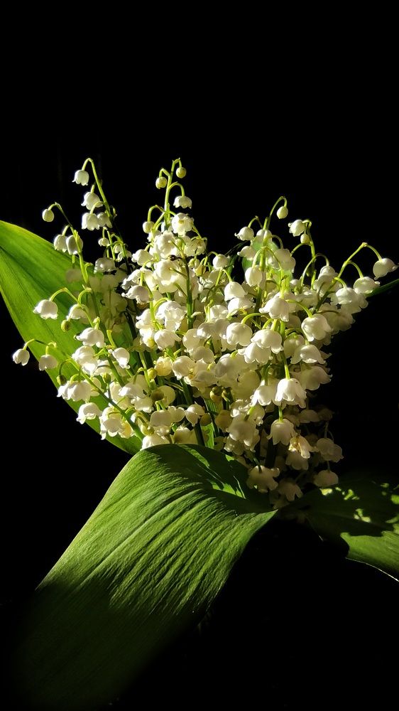 Photograph by Максим Ушенин