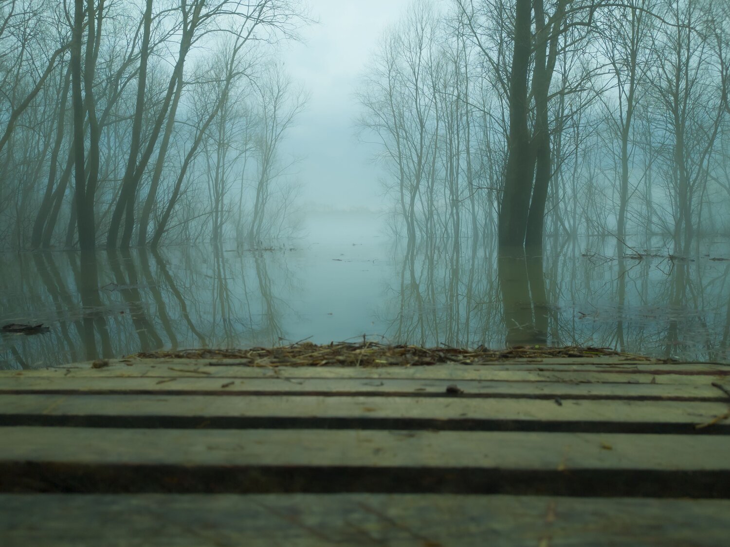 Photo #7580010