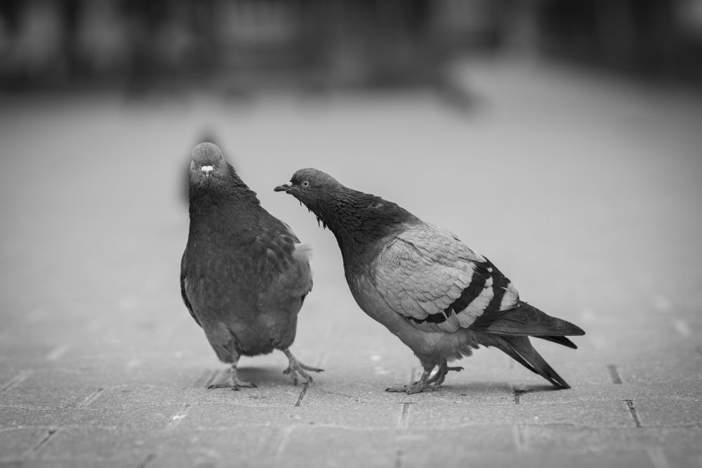 Где зарплата?!