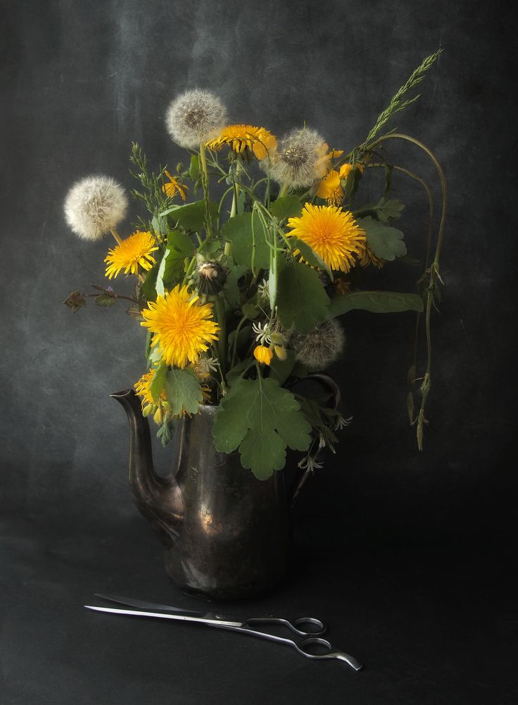 Фотография автора Димитър Стоянов