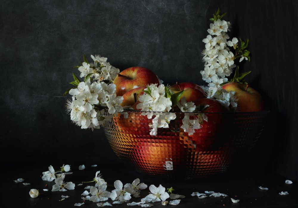 Фотография автора Димитър Стоянов