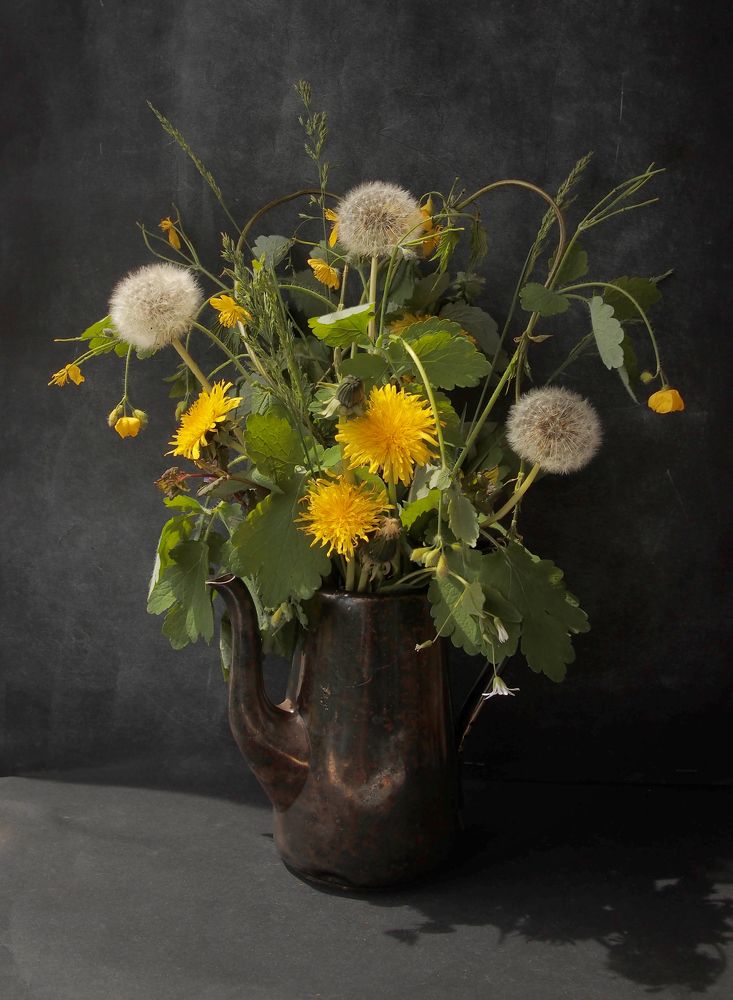 Фотография автора Димитър Стоянов