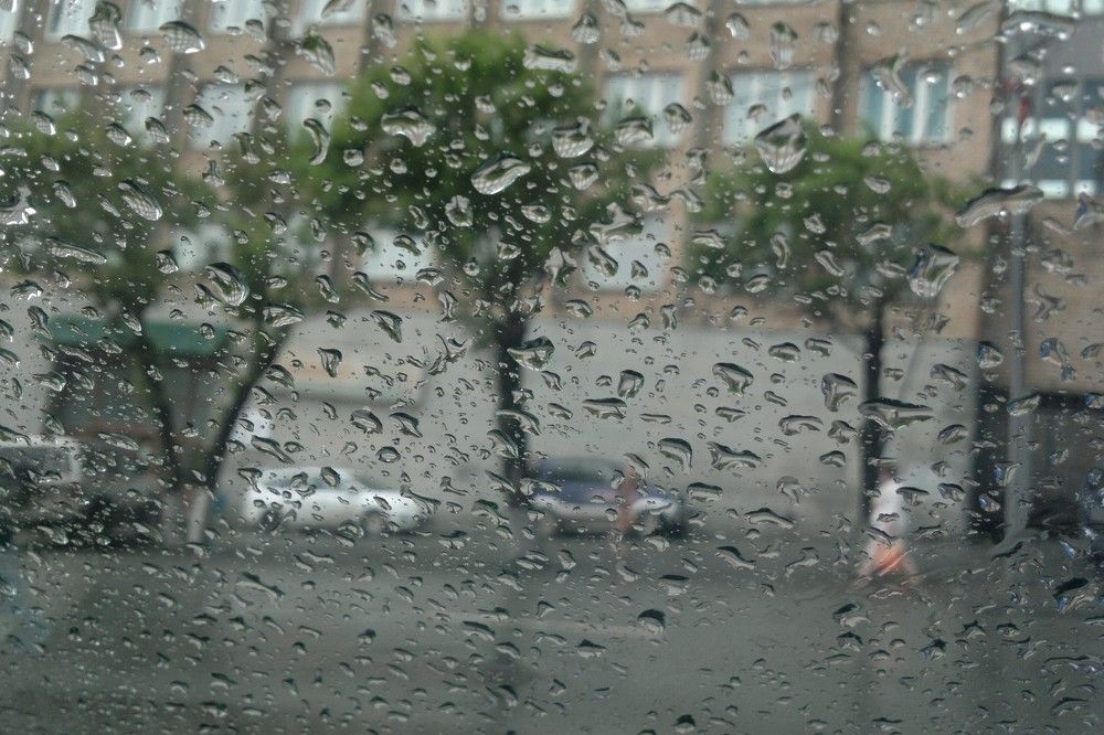 Photo #7580046