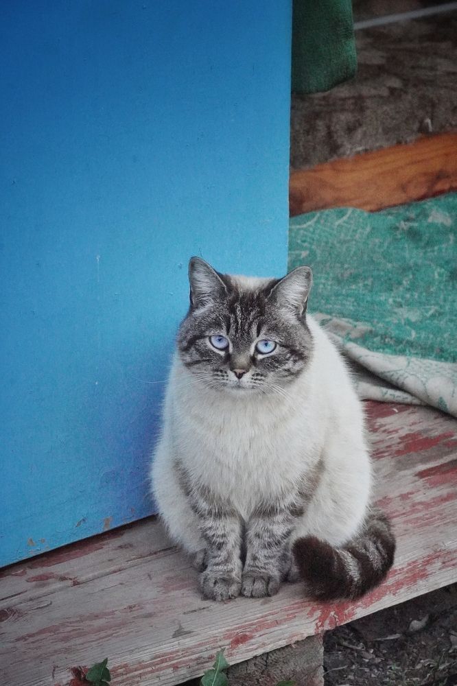 Photograph by Высотских Владимир