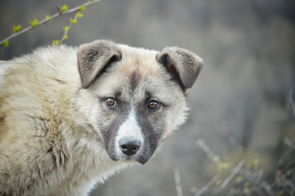 Photograph by Высотских Владимир