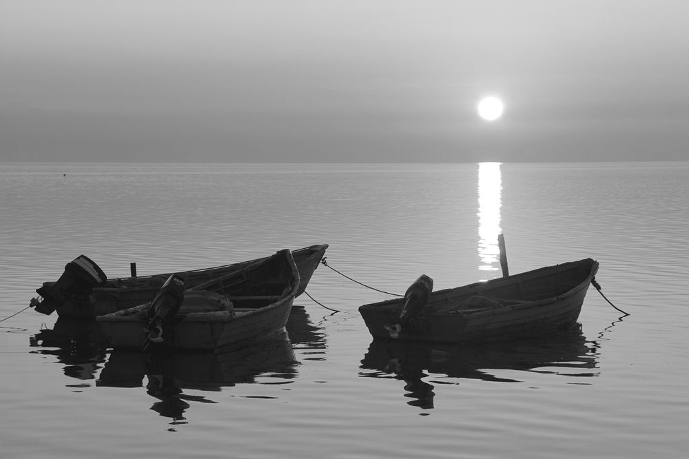 Photograph by Javad Tafti Farashah