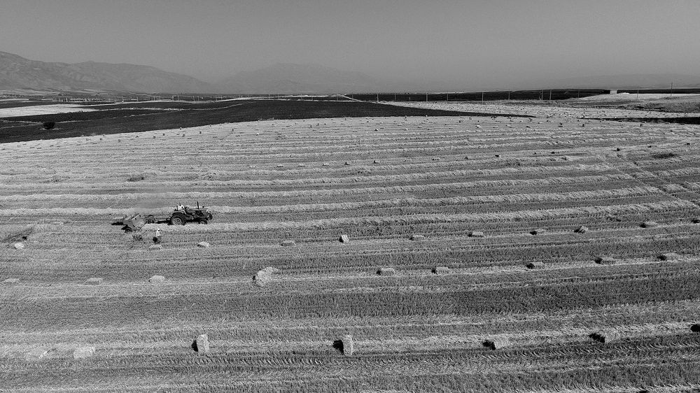 Photograph by Javad Tafti Farashah