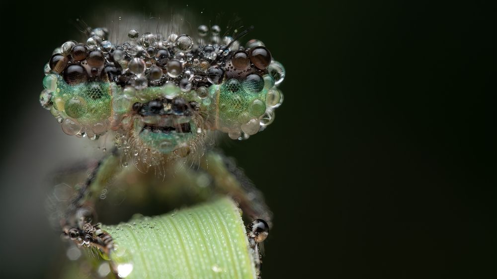 Photograph by Miniteca Photographie