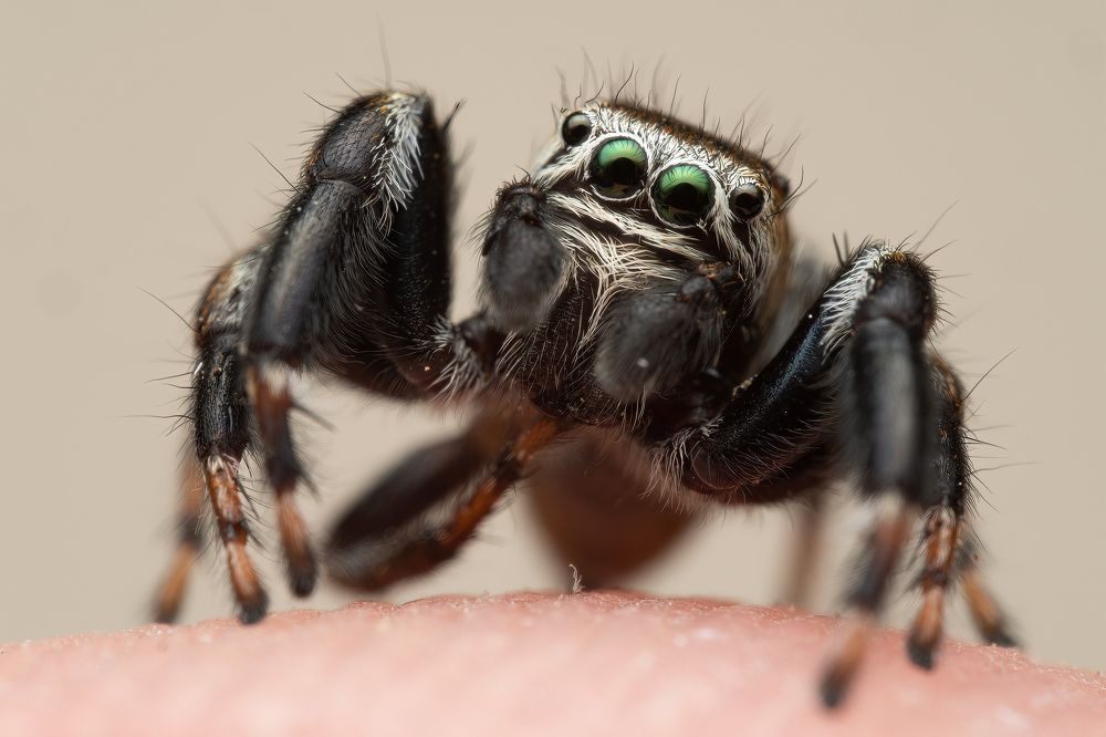 Photograph by Miniteca Photographie