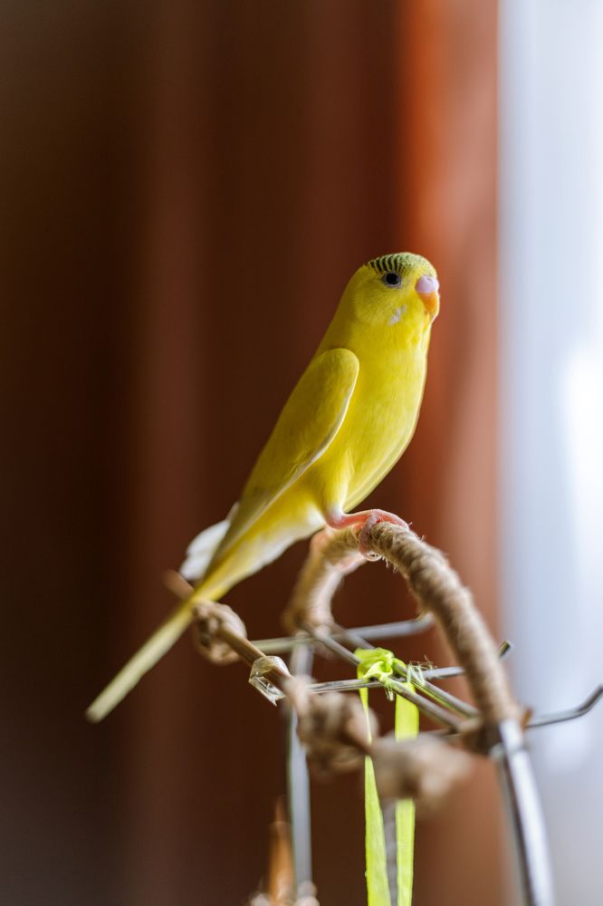 Photograph by Мария Данилкина