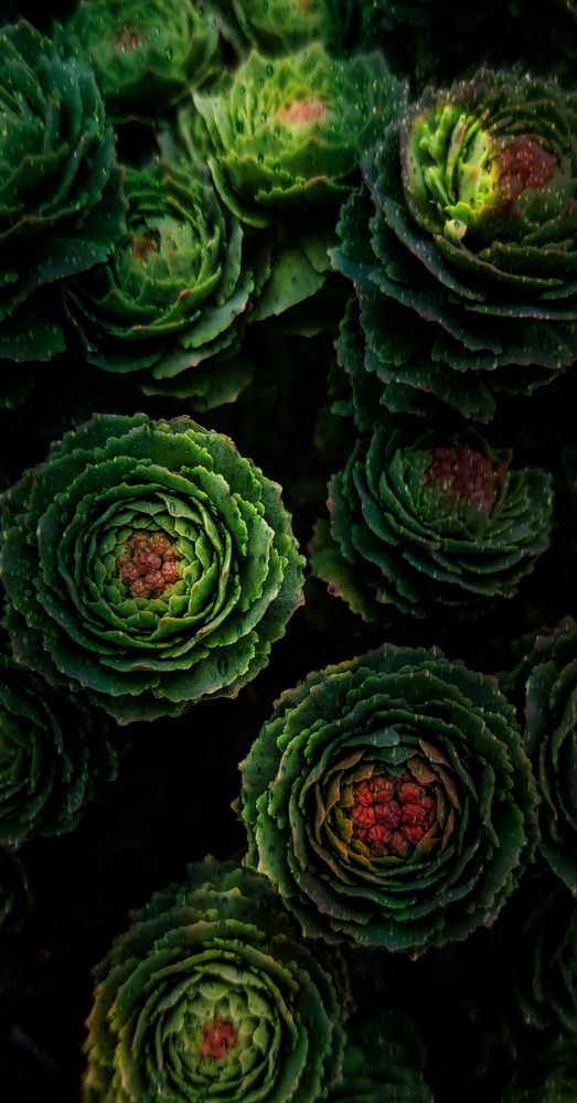 Photograph by Елена