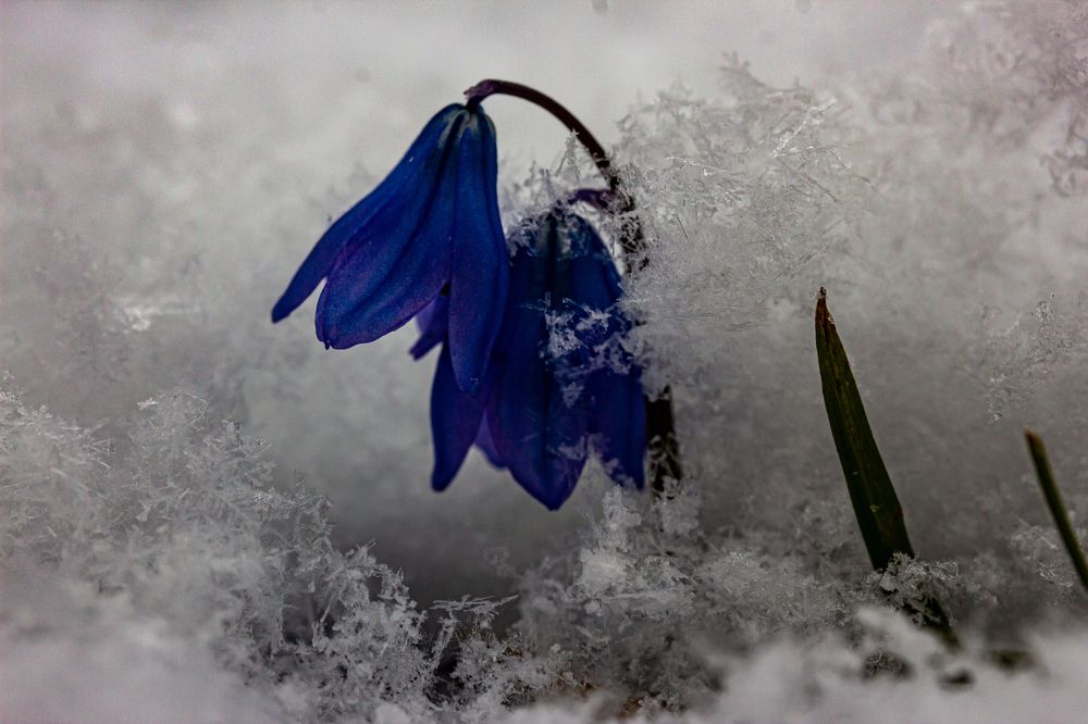 Photograph by Заур Бозиев