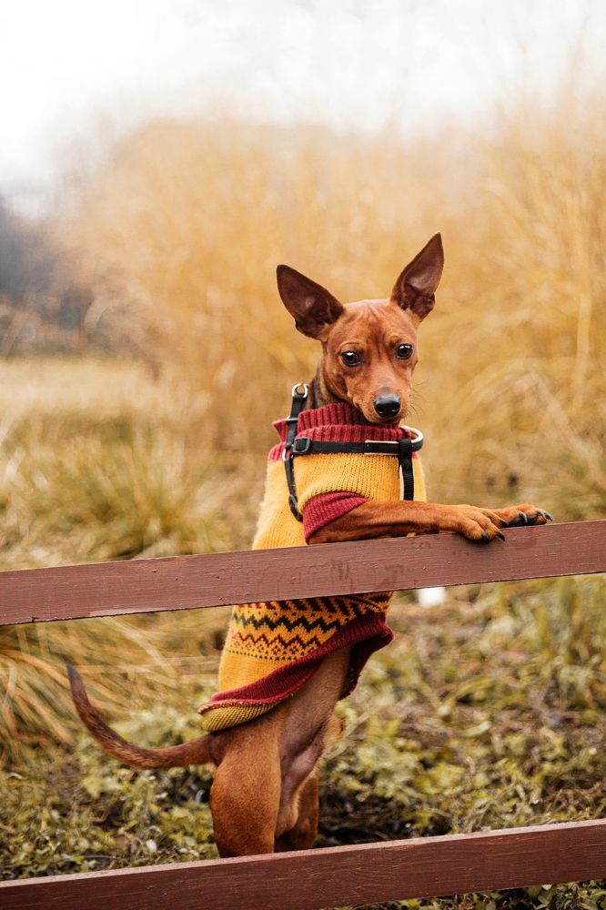 Photograph by Татьяна Степанова