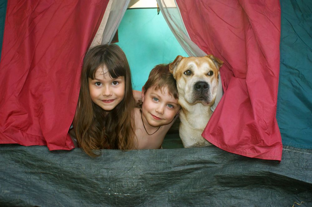 Photograph by Алексей Маринченко