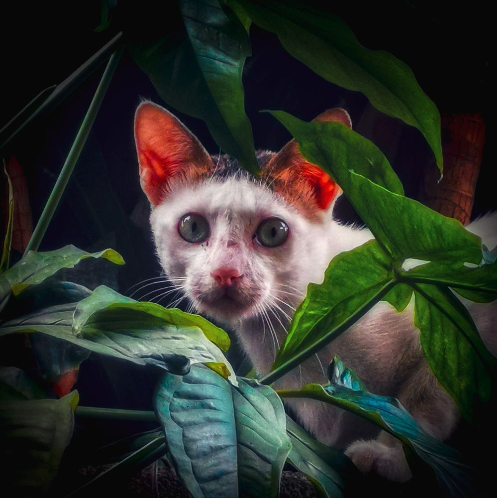 Photograph by Michael Deligan