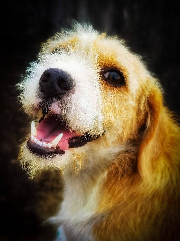 Photograph by Michael Deligan