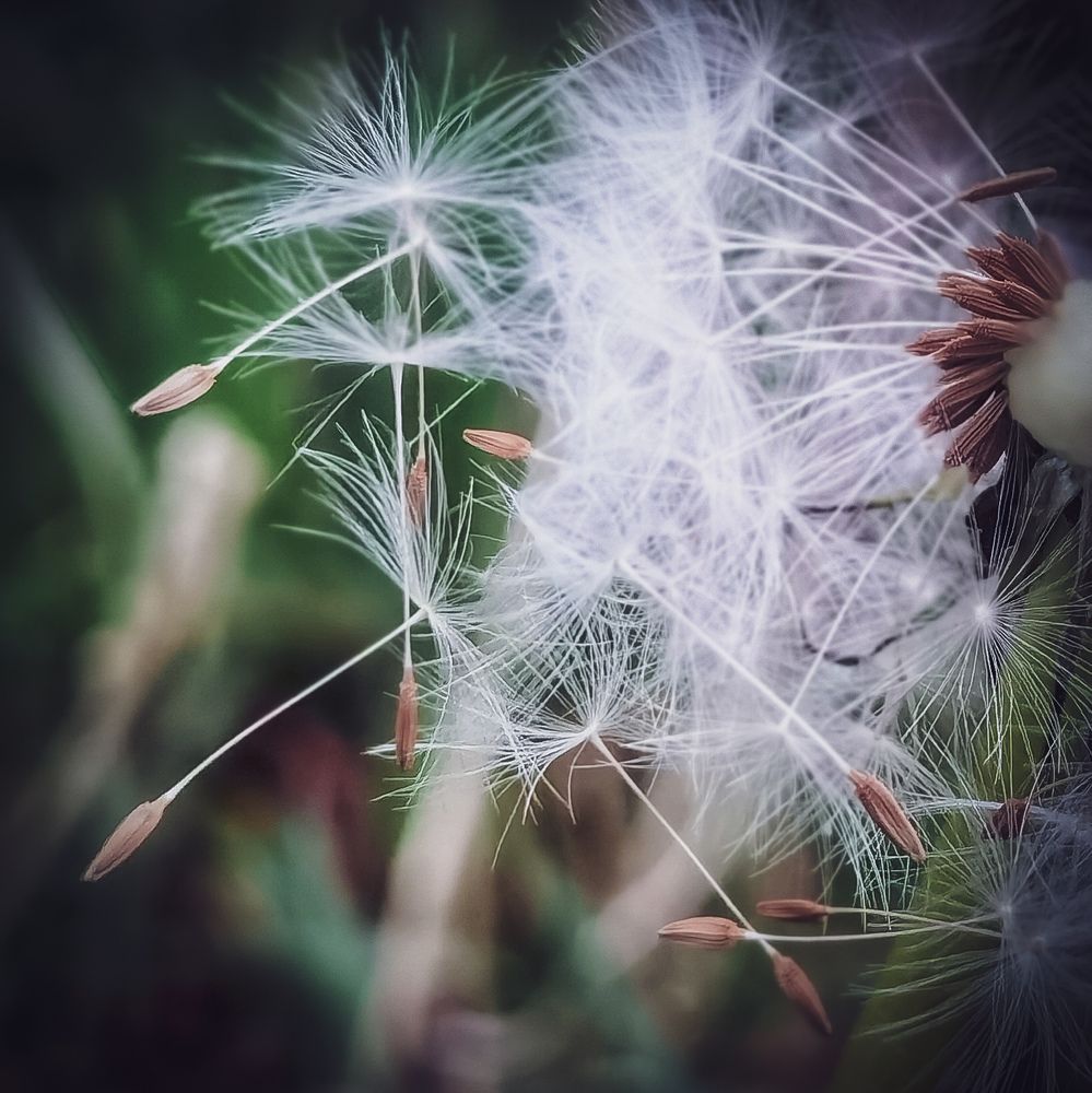 Photograph by Michael Deligan