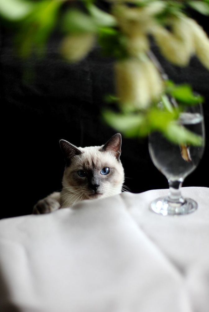 Photograph by Юрий Варюхин