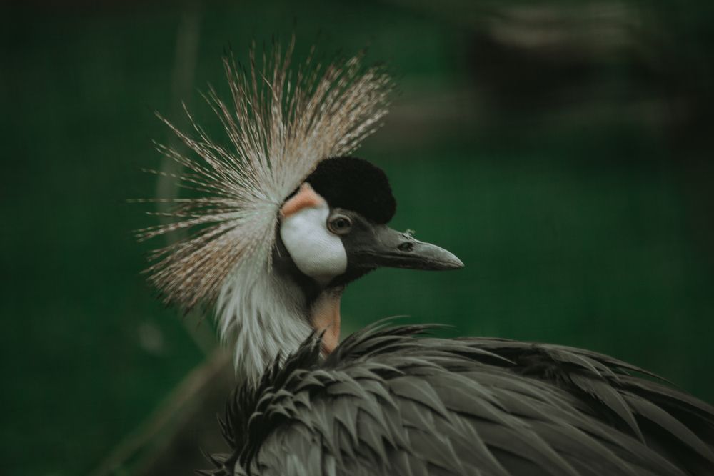 Photograph by Елизавета Савина