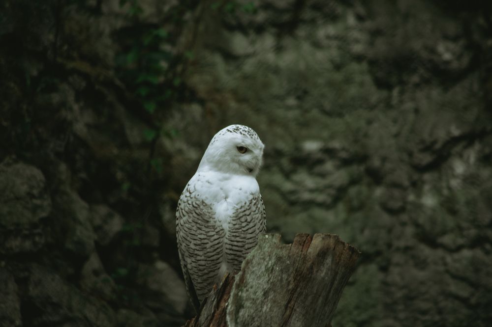 Photograph by Елизавета Савина