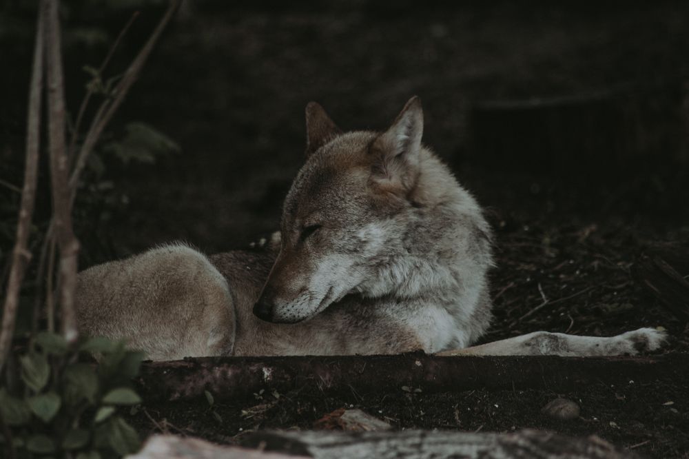 Photograph by Елизавета Савина