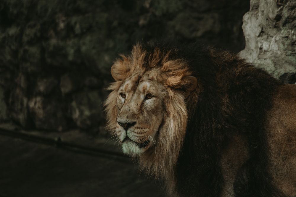 Photograph by Елизавета Савина