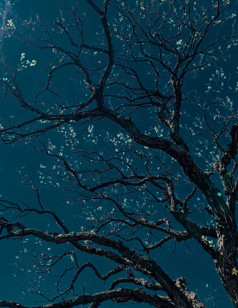 Photograph by Liudmila Kirillova