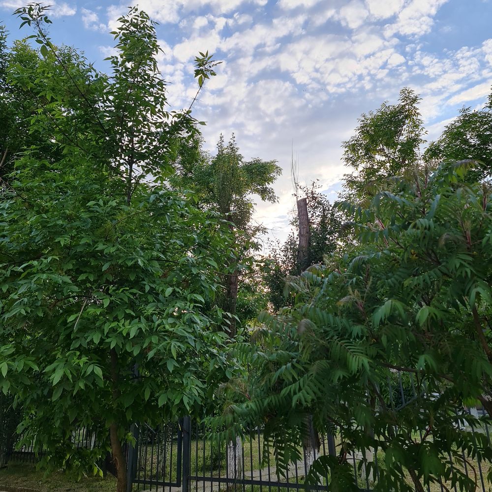 На пути домой