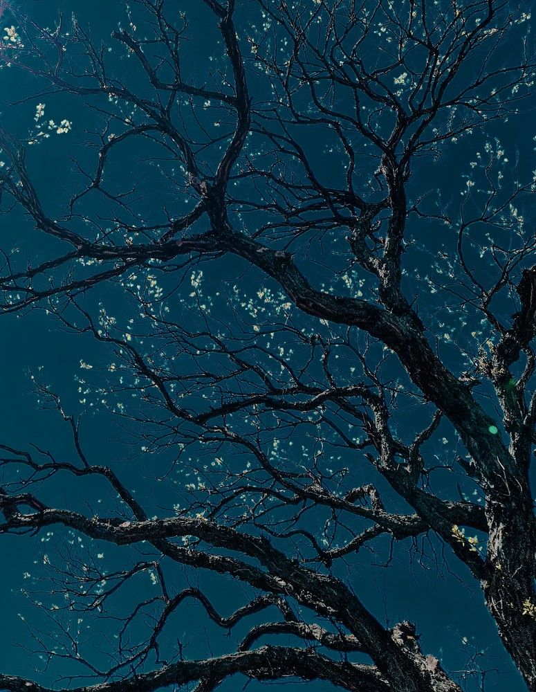 Photograph by Liudmila Kirillova