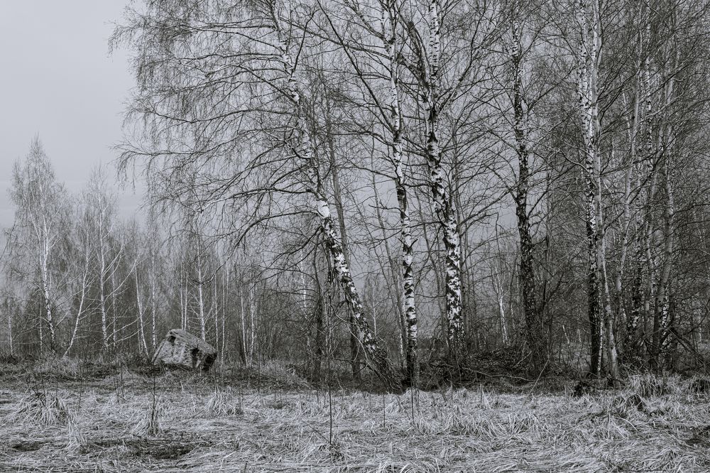 Photograph by Andrew Дёмин