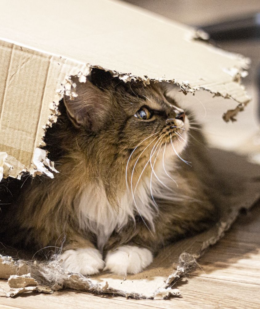 Photograph by Маргарита