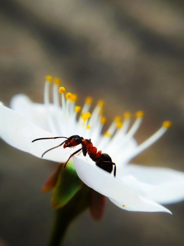 Photograph by Любовь Коровацкая