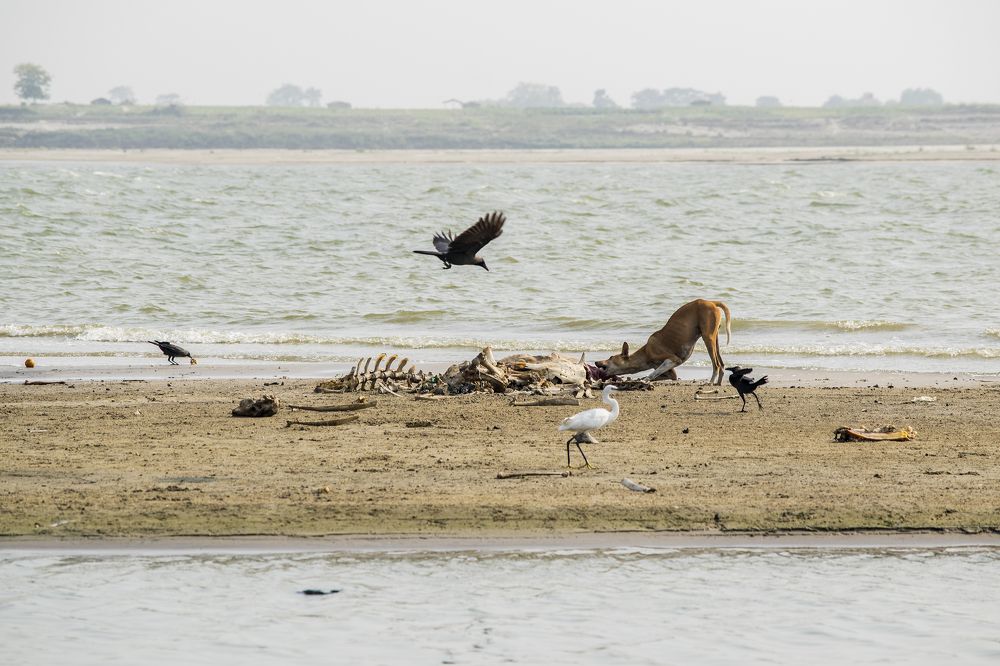 Photograph by shashiranjan prakash